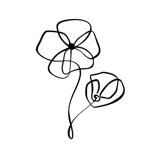 Continuous line hand drawing calligraphic vector flower concept logo florist. Scandinavian spring floral design element in minimal style. black and white