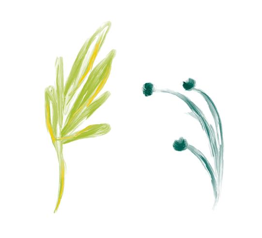 Set of cute spring watercolor hand drawn vector flower. Art isolated object illustrations for wedding bouquet. Isolated on white background