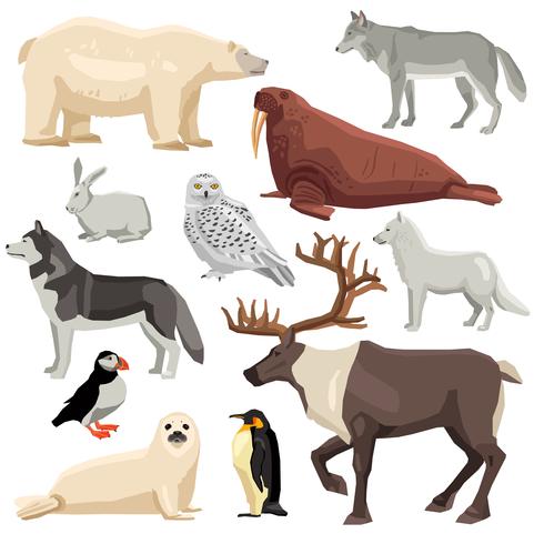 Polar Animals Set vector