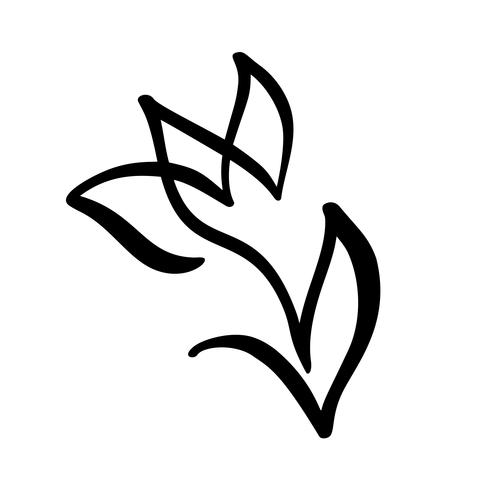 Flor de tulipán. Línea continua mano dibujo concepto de vector caligráfico. Elemento de diseño de logotipo floral escandinavo de primavera en estilo minimalista. en blanco y negro