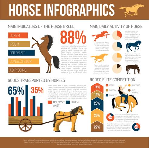 Caballo razas infografía presentación plana cartel vector