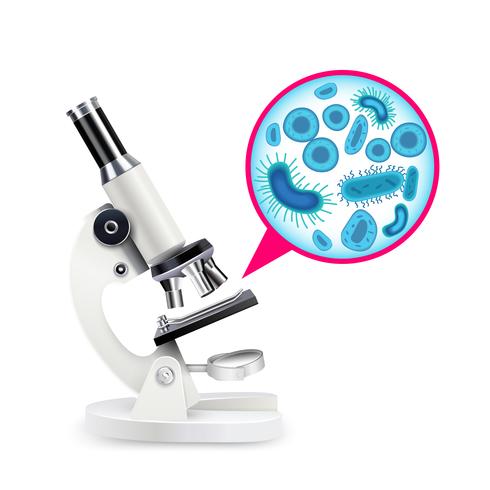 White Realistic Microscope vector