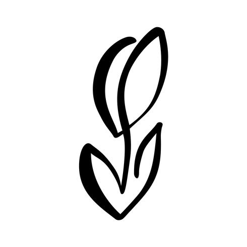 Línea continua mano dibujo vector caligráfico flor concepto logo. Elemento de diseño floral de primavera escandinavo en estilo minimalista. en blanco y negro