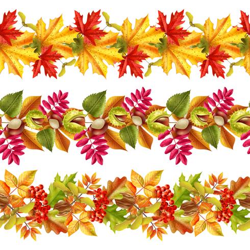 Autumn Leaves Seamless Border vector