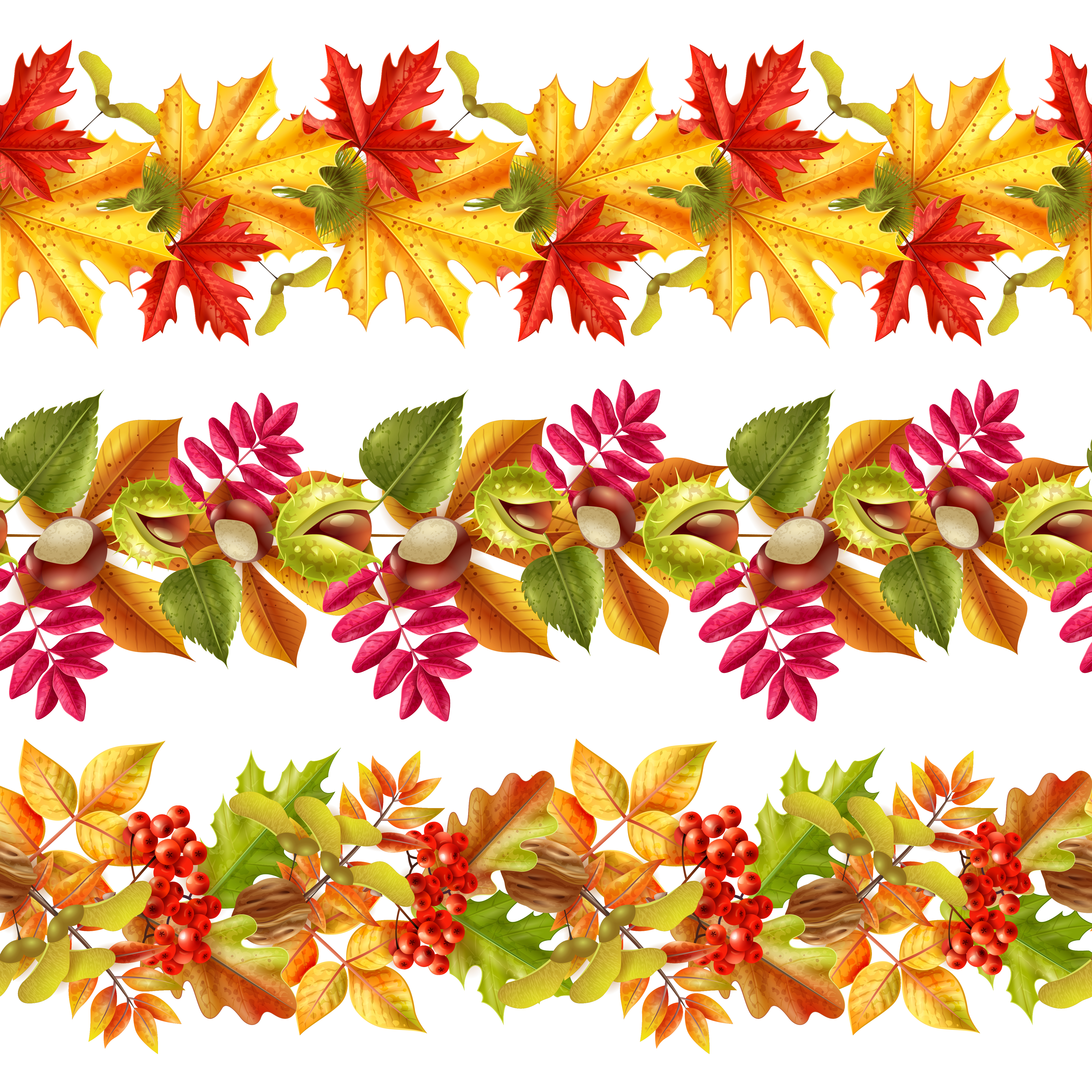 My Image 44