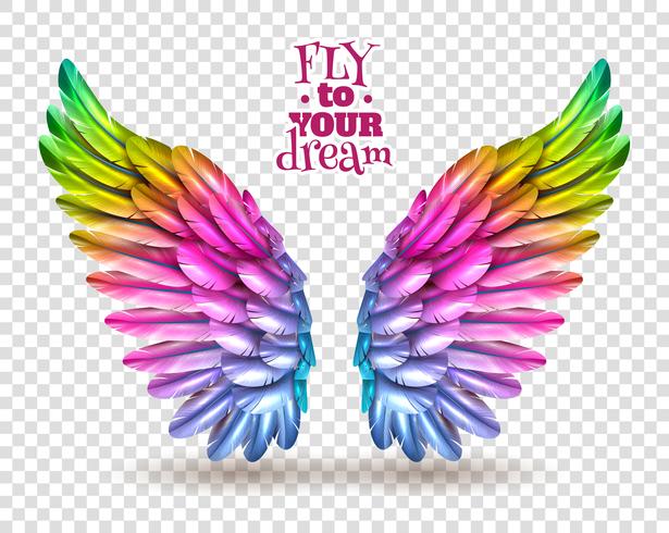 Color Wing Transparent Set vector