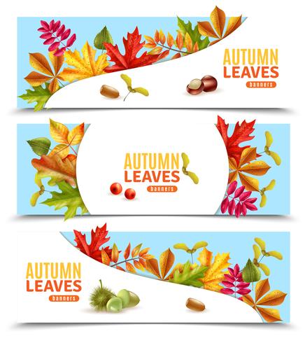 Autumn Leaves Banners vector