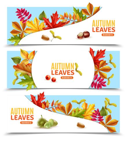 Banners de hojas de otoño vector