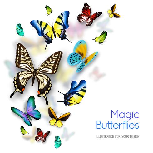 Butterfly Background vector