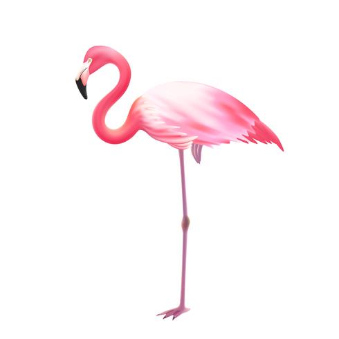 Pink Flamingo One Leg Realistic Icon vector