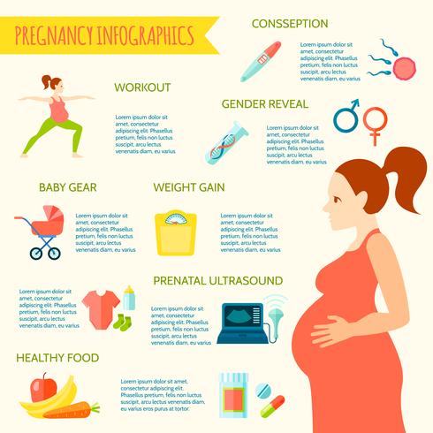  Pregnancy Infographic Set vector