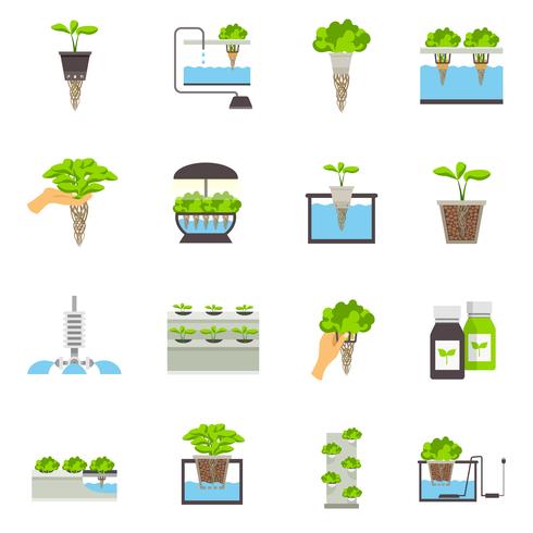 Hydroponic Flat Icons vector