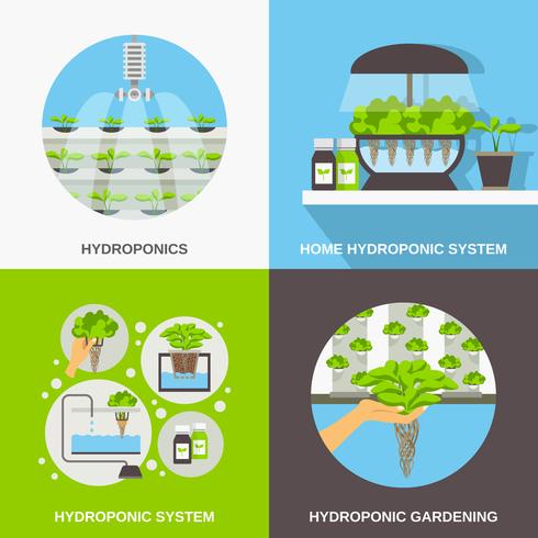 Concepto plano de hidroponía vector