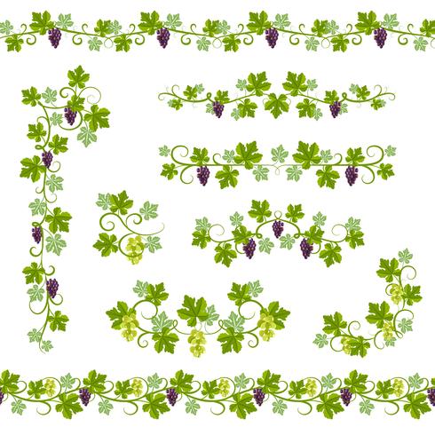 Seamless Background Pattern Vine vector