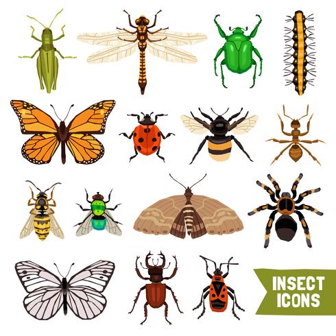 Insects Icons Set vector