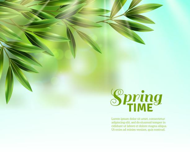 Spring Leaves Background  vector