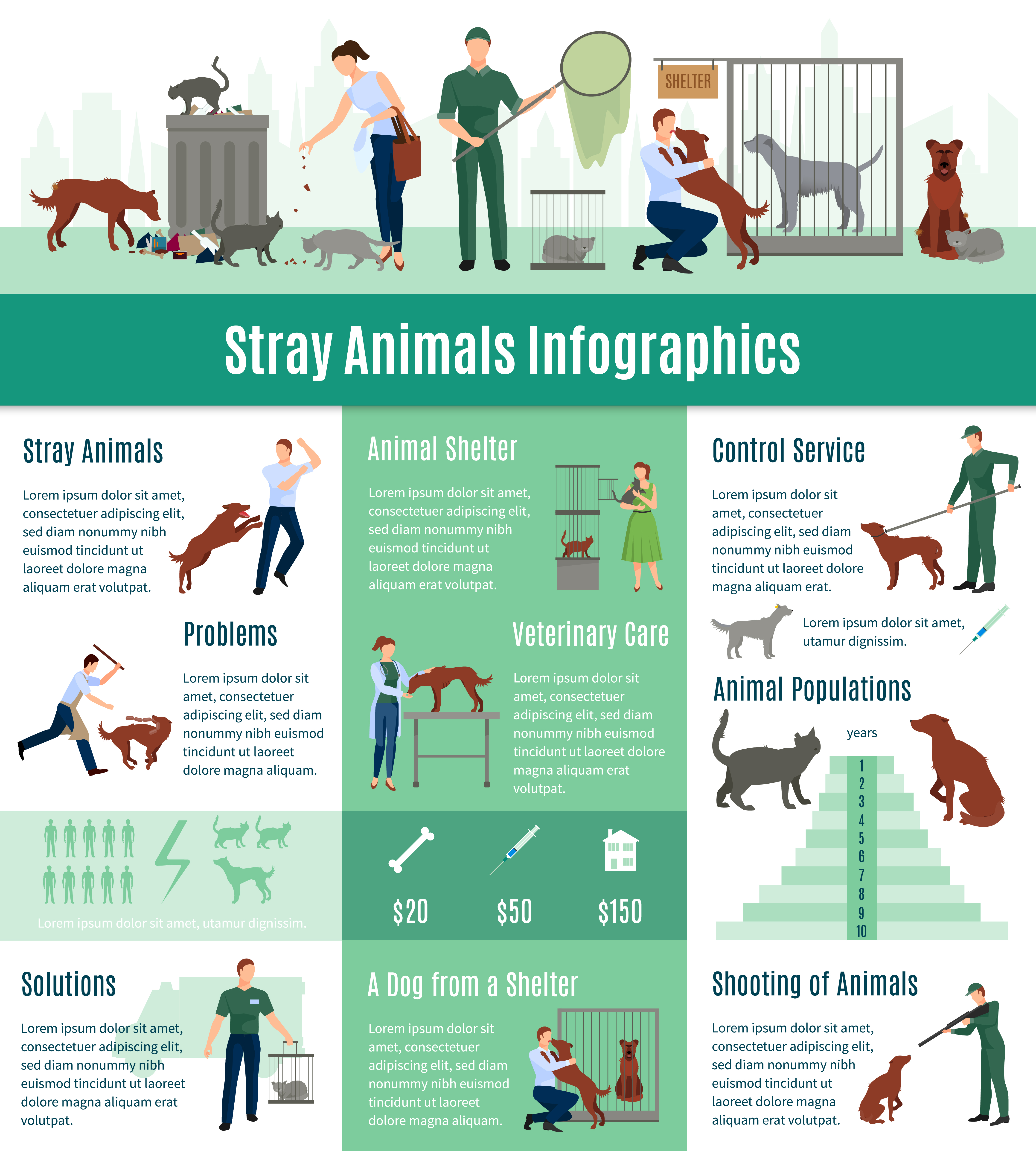 research about stray dogs