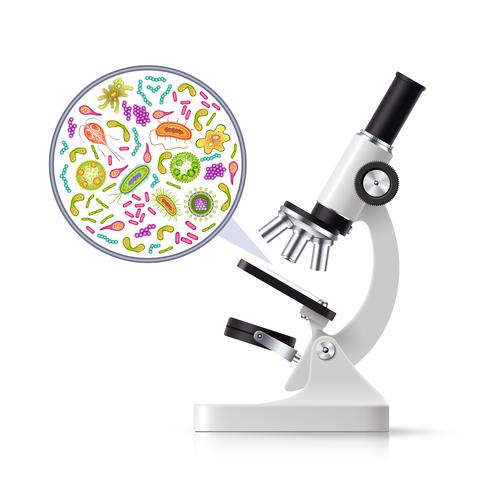 .Realistic Microscope With Magnified Specimen Image vector