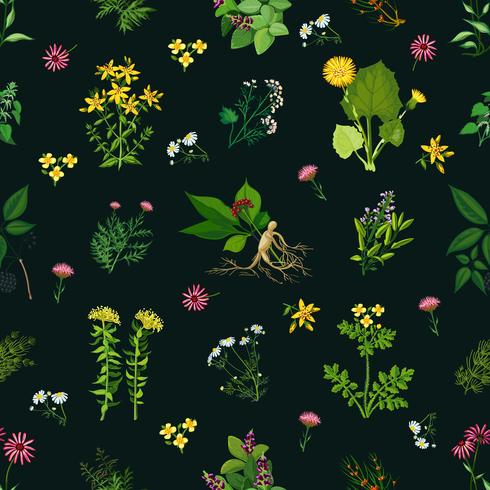 Medicinal Herbs Seamless Pattern vector