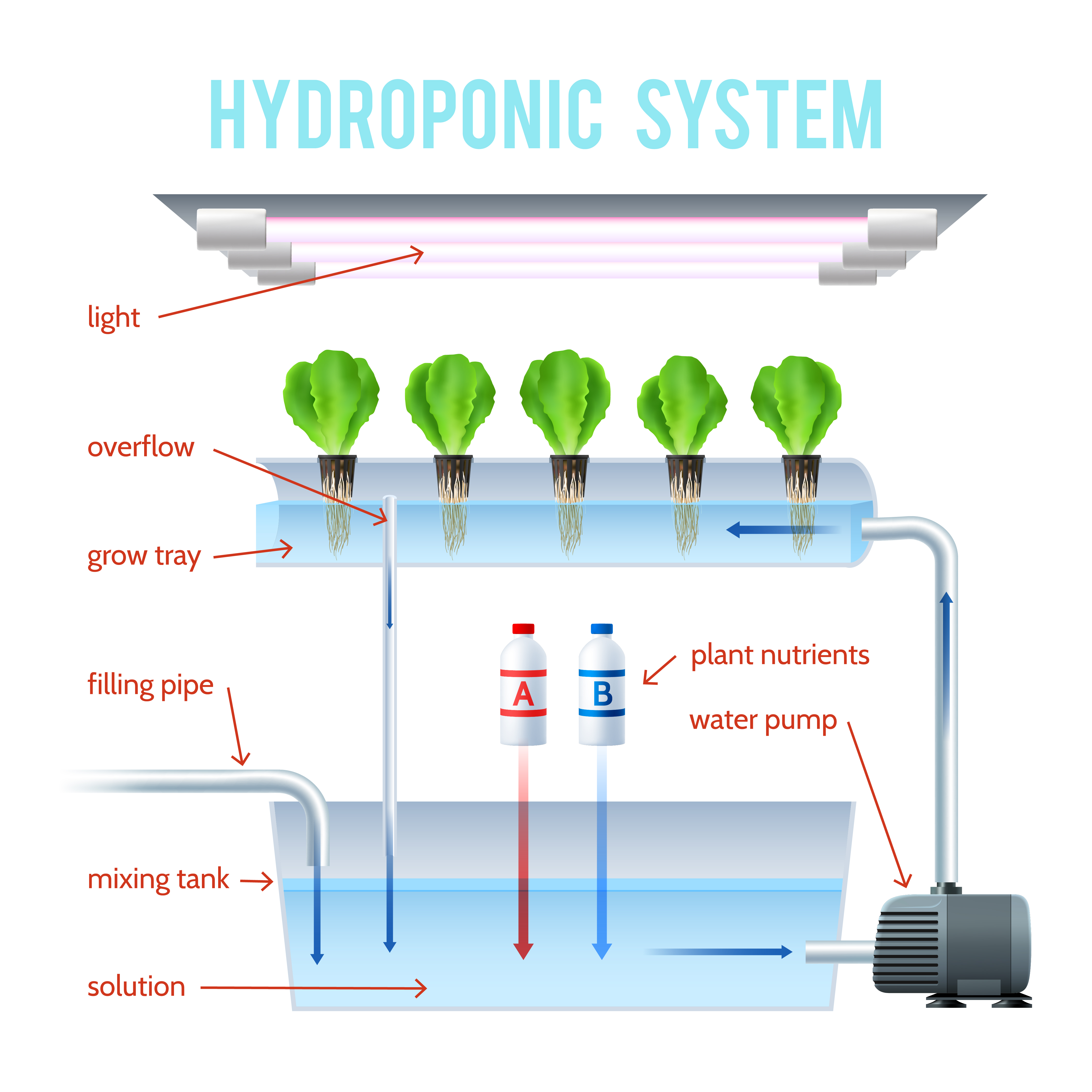 Hydroponics explained