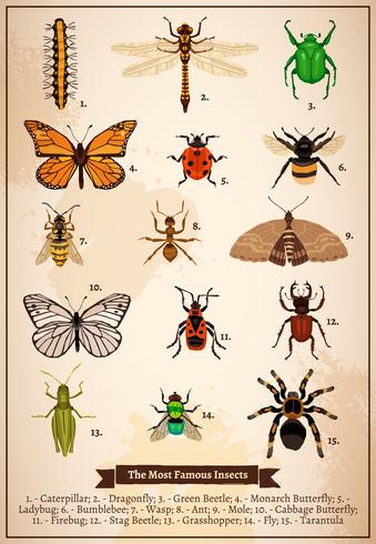 Insectos Vintage Book Page vector