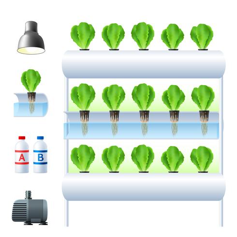 Conjunto de iconos del sistema hidropónico vector