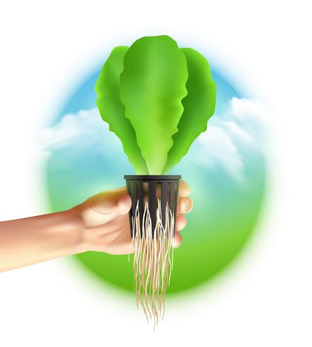 Hydroponics System Colored Poster vector