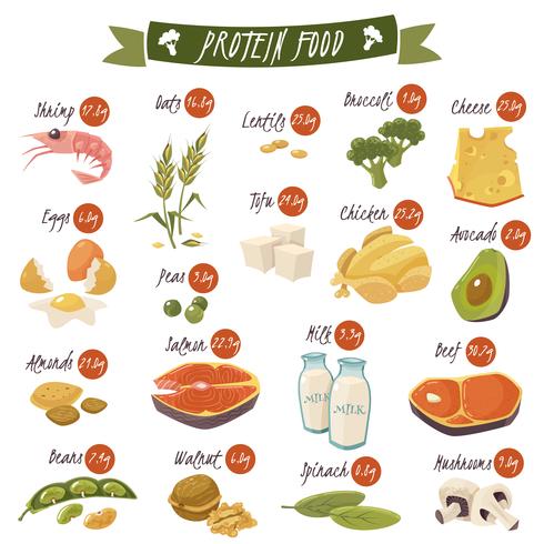 Conjunto de iconos planos de alimentos ricos en proteínas vector