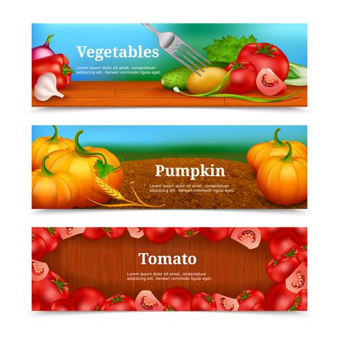 Vegetables Horizontal Banners Set vector