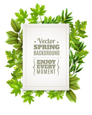 Decorative Frame With Spring Leaves  vector