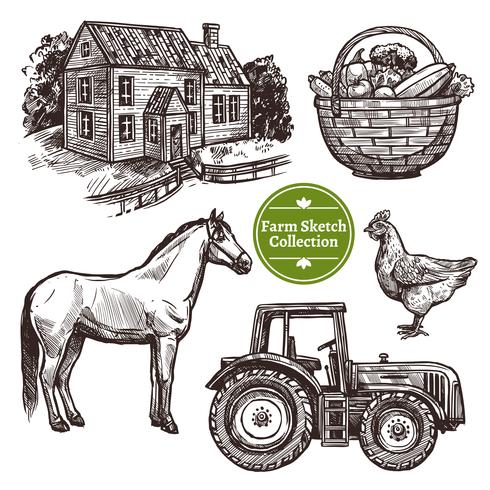 Farm Hand Drawn Sketch Set vector