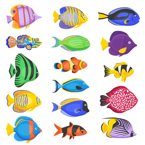 Conjunto de peces exóticos vector