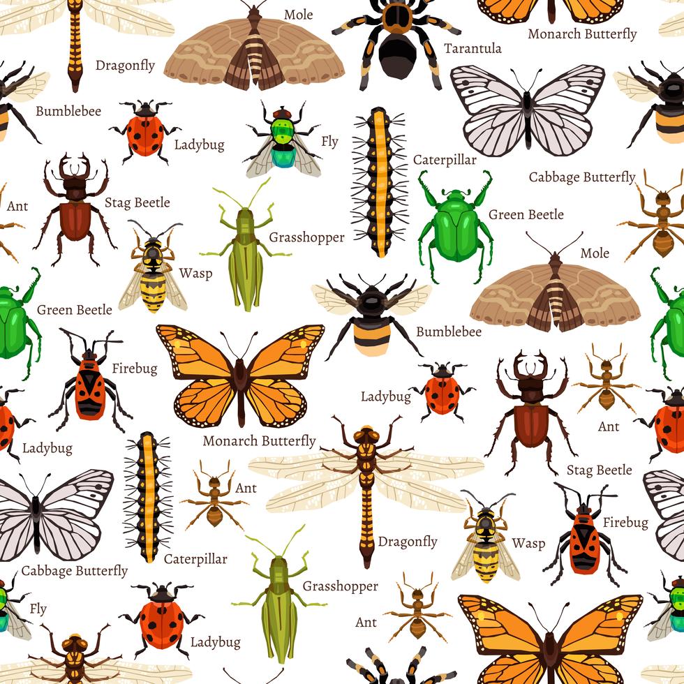 Insects Seamless Pattern 478228 Vector Art at Vecteezy
