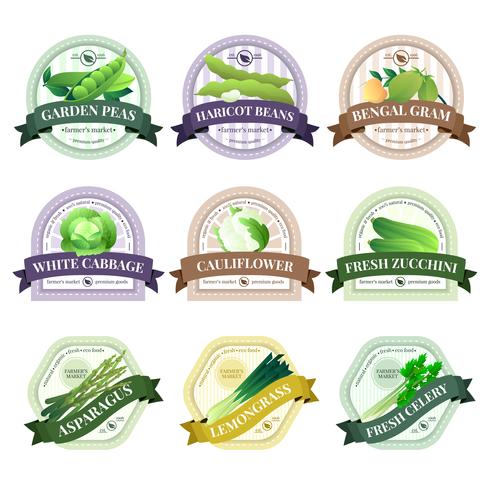 Vegetable and Herbs Flat Labels Set  vector