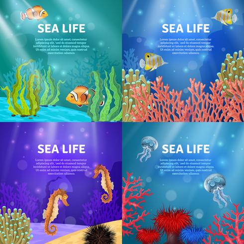 Underwater Landscape Set vector