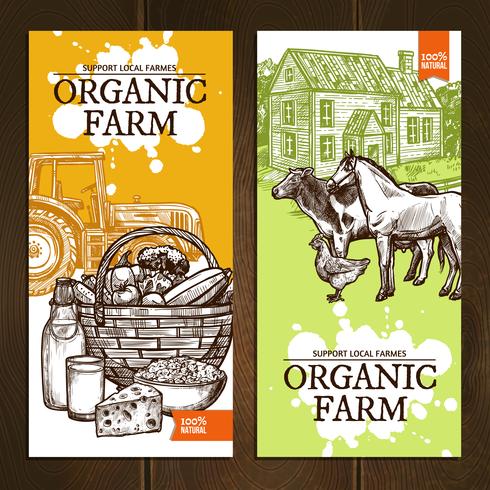 Organic Farm Vertical Banners vector