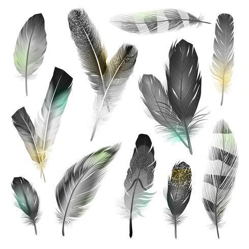 Conjunto de plumas blancas y negras vector