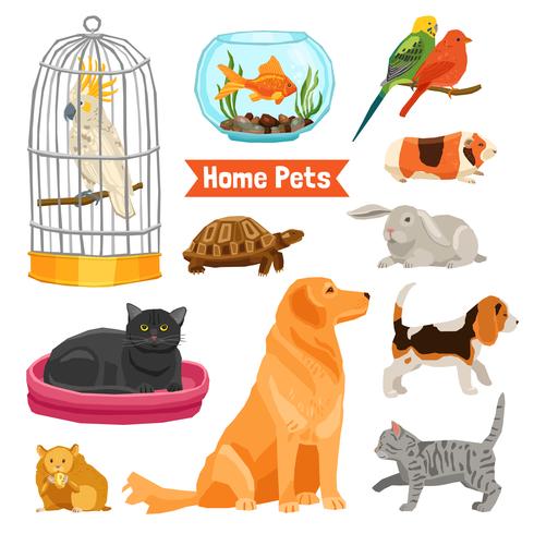 Set de mascotas para el hogar vector