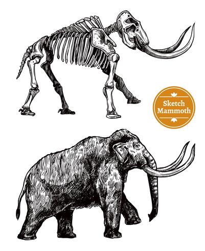 Boceto dibujado a mano mamut vector