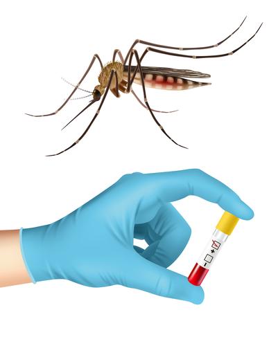 Prueba de mosquitos y sangre vector