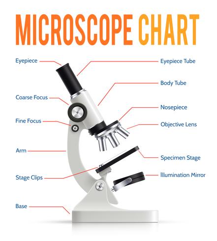 Tabla de presentación de infografía de piezas de microscopio realista vector