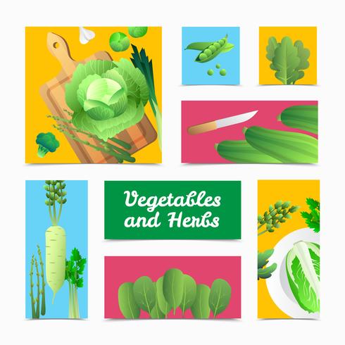 Cartel colorido de las cabeceras de las hierbas de las verduras orgánicas vector