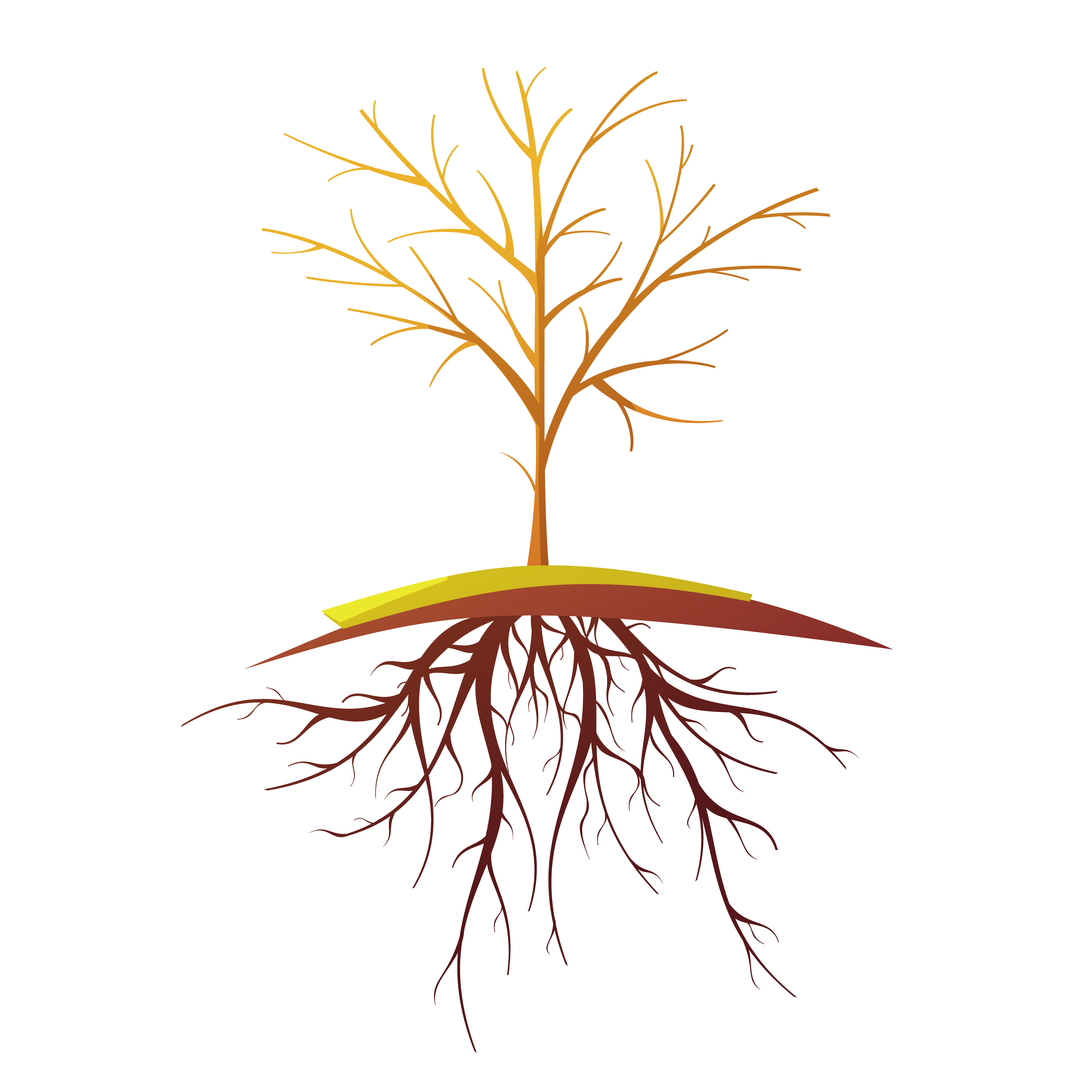 Tree With Root Isolated Retro Cartoon Illustration 478806 Vector Art at  Vecteezy