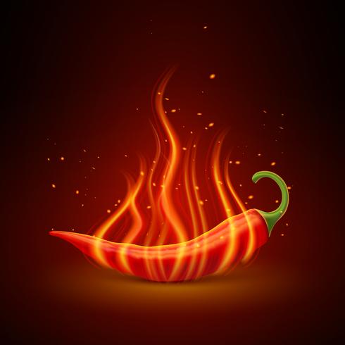 Red Chili Pepper Realista Unico Objeto vector