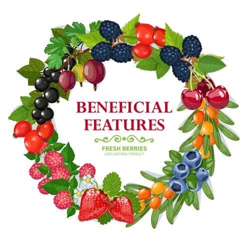 Fresh Natural Berries Wreath Decorative Frame  vector