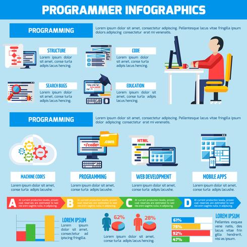 Programmer Infographics Flat Layout vector