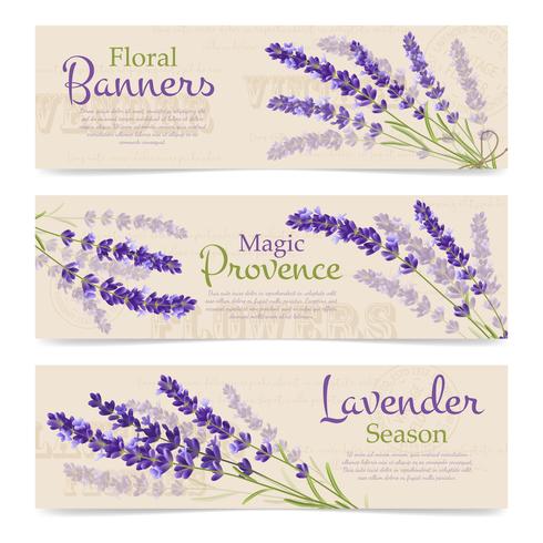 Banners horizontales de flores de lavanda vector