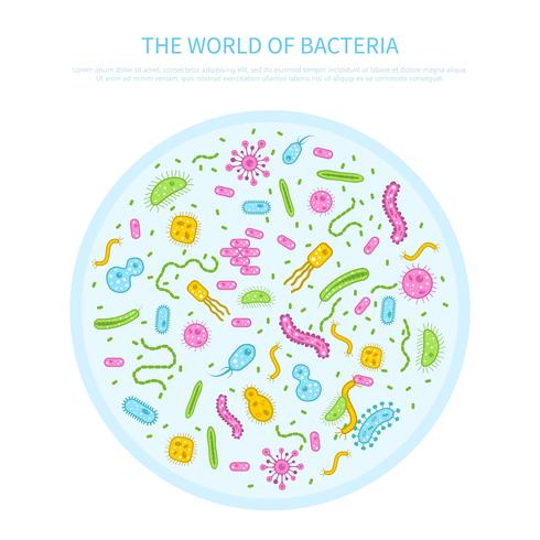 Bacteria concept illustration vector