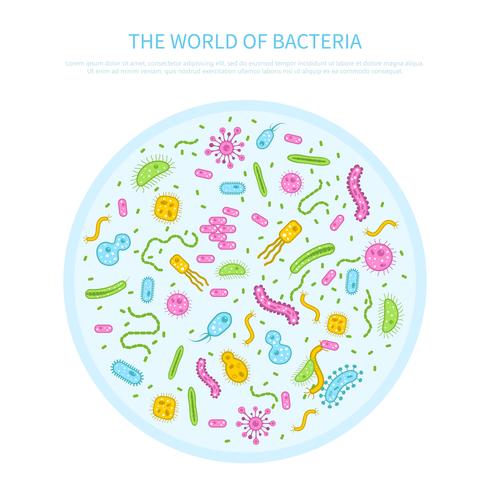 Ilustración del concepto de bacterias vector