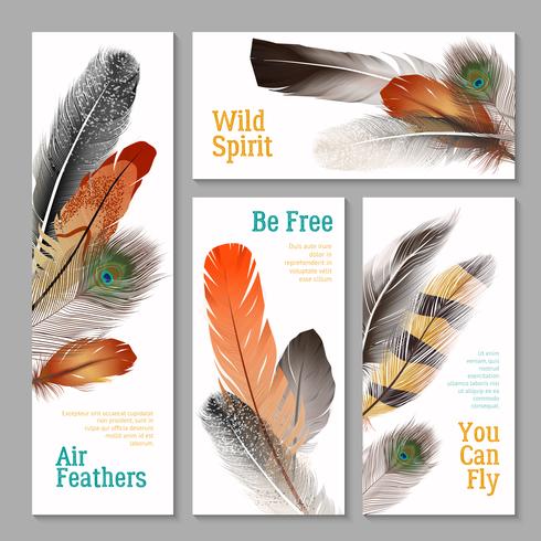 Feathers Banners Set vector